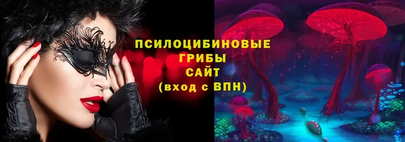 что такое   Полтавская  Галлюциногенные грибы MAGIC MUSHROOMS 